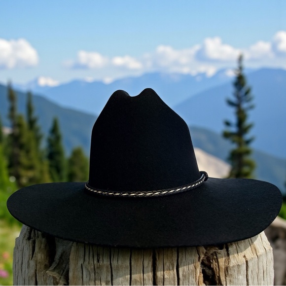 Dorfman Pacific Black Felt Western Hat Braided Band Horsehair Tassel 4” Brim USA - Picture 2 of 9